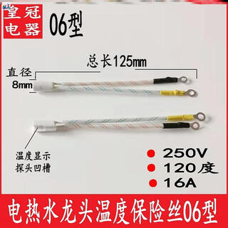 Special fuse for electric hot water faucet, overheating fuse protector, fuse tube temperature 250v/16a/120 degrees/type 06, thermal conductive silicone grease
