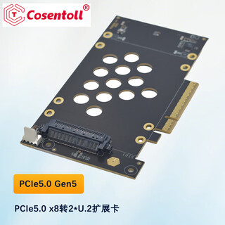 T COSENTOLLCosentoll PCIe5.0 x8转2个U.2扩展卡 Gen5无损SFF-8639接口硬盘转接卡NVMe协议服务器转换扩展坞