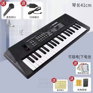 漫叮熊初学者入门级钢琴可弹奏乐器37键多功能儿童电子琴男女孩音乐玩具 【37键】黑色充电款+4件套