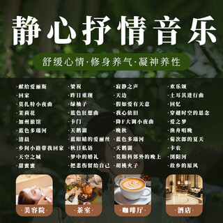 8d surround five-tone healing 300 guqin, pipa and guzheng meditation pure music teahouse lossless original sound 16g total 1600 pure music u disk 3.0