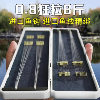 Haidi 40 pairs of imported gold sleeves line with double hooks and thorns, finished fish hooks tied set, official hanging line set, special for carp and crucian carp, gold sleeves with thorns, hook 3/4 + line 0.8/1.0, 20 each