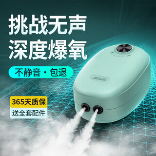 SQG鱼缸氧气泵静音增氧泵小型充氧泵静音可调节5W双孔泵+气泡球套餐