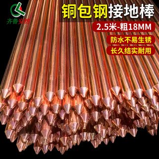 齐鲁安然 铜包钢接地棒 接地针避雷针接地线配件防雷铜覆钢电解离子接地极室外地线接地装置接地针 长2.5米-粗18毫米+接线夹子