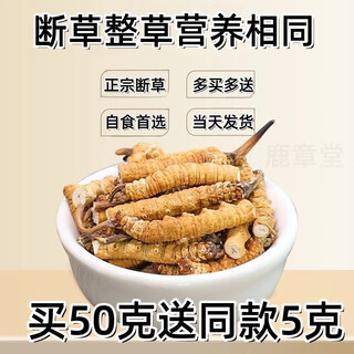 冬虫夏草断草虫草断草虫草断虫草自食首选10克送1克 营养滋补品 藏区精品大断草买50克送5克