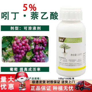 5% indolebutyric acid, naphthylacetic acid, cutting branch rooting agent to improve survival rate, growth regulator, 100g*1 bottle