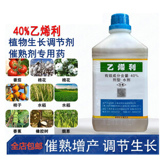 40% ethephon walnut banana persimmon tomato mango rice ripening agent pesticide plant growth regulator 350g