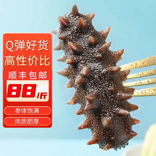 尚月湾即食海参一斤装大连刺参辽参海参开袋速食海参净重500g 1斤 9-12头/斤
