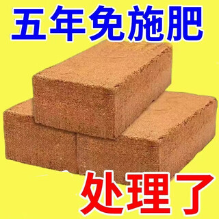 椰砖直销通用型椰土无盐椰糠土养花种菜椰糠土种植椰砖土 精选大砖9块（PK同行30块）只卖一天 活动价/超划算/不买后悔
