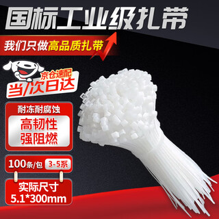 Beifote nylon tie, self-locking tie-down tie, cable management cable tie, gardening computer installation fixed strap 5.1*300mm (100 pieces)
