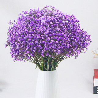 Dried flower bouquet living room decoration decoration yunnan real flowers dried natural flowers wholesale baby's breath forget-me-not purple baby's breath large bouquet (not including bottle)