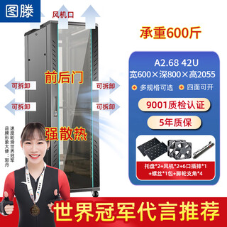 Tuten network server cabinet 42u weak current ups monitoring switch a2.6842 tempered glass door 600*800*2055mm
