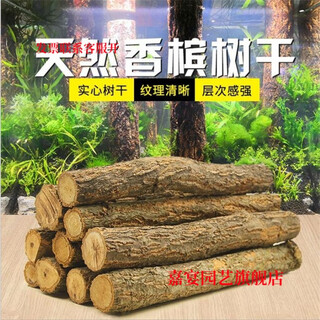 Champagne trunk underwater forest ornaments, pure natural water and land tank, rainforest tank, landscaping, climbing pet turtle terrace, 1-2 cm in diameter and 20 cm long.