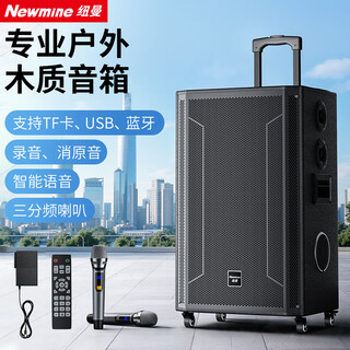 Newmine n539 15-inch square dance bluetooth speaker high-power outdoor mobile portable trolley home karaoke high-volume wireless speaker super long battery life dual microphone 29 speakers