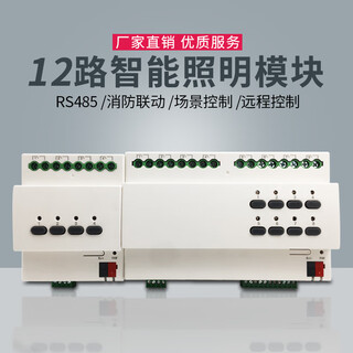 Magic intelligent lighting control module light controller centralized control switch 485 remote control white 12-way 16a