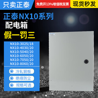 正泰NX10-4030/20配电箱挂壁5040/20 6050/23配电柜8060/20明装2520 NX10-10080/20