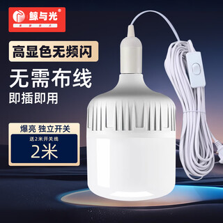 Whale and light led energy-saving light bulb with plug household plug-in e27 socket lamp with switch wire super bright hanging small wall lamp 2 meters wire