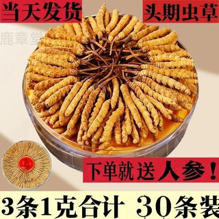 Authentic cordyceps authentic cordyceps sinensis gift box 3 roots/g 50 cordyceps cordyceps gift nutrition to give elders tonic tibetan area 3 roots/g 30 cords gift box-get 1 piece