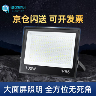 Deyan led floodlight outdoor lighting waterproof outdoor spotlight industrial lighting high power factory street light 100w-white light high brightness model
