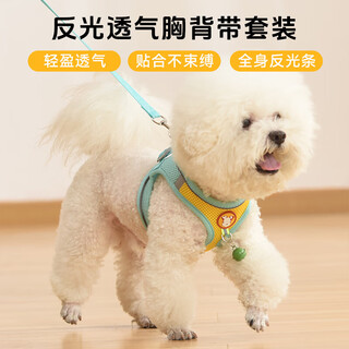 Star rudder dog leash with bell dog leash harness leash small dog puppy leash dog walking leash yellow and blue leash with bell-s (3-6jin jin is equal to 0.5kg)