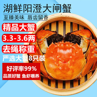 Live crabs lake fresh yangcheng hairy crabs whole female 3.3-3.6 pairs 8 pieces with rope feet removed fresh stock fresh aquatic products extra large crab gift seafood gift box
