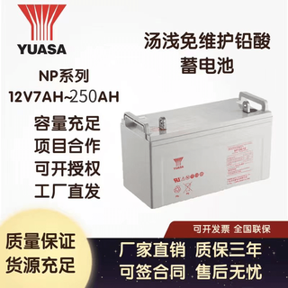 YUASA蓄电池NP系列12/24/38/65/100/120/150/200/225/250Ah不间断电源 汤浅NP18-12(12V18AH)