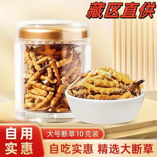 【假一罚十】正宗藏区冬虫夏草 大号断草自吃实惠装 10克装大号断草