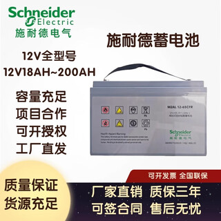 施耐德M2AL 12-100CFR蓄电池12V18AH26AH38AH65AH100AH200AH免维护 其他型号联系客服