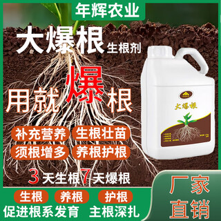 Средство для укоренения nianhui dabao, сельскохозяйственная гуминовая кислота, активированная почва, азот, фосфор и калий, питательный раствор, жидкое удобрение для укоренения фруктовых деревьев и овощей, 2,5 кг * 1 горшок с хорошим эффектом укоренения