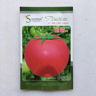 Jinshi pink jade tomato seeds boyu tomato seeds anti-virus pink cold-resistant large fruit high-yielding taste fenba original 5g