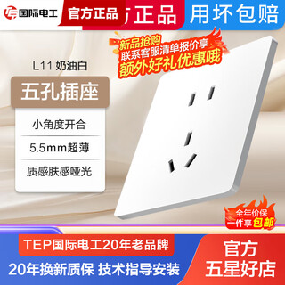 TEP国际电工暗装86型开关插座大面板白色超薄肤感5孔五孔插座开关按钮面板 五孔(10A) 插座