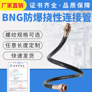 Explosion-proof flexible connecting pipe bng explosion-proof hose flexible wiring pipe 4 points explosion-proof pipe 6 points threading pipe flexible pipe 4 points dn15*300