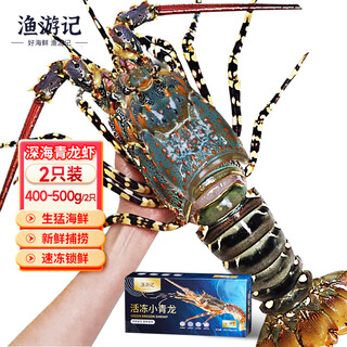 Fishing travel notes (yuyouji) indonesian small green lobster clean shrimp 400-500g/2 extra large lobsters hualong seafood frozen prawns