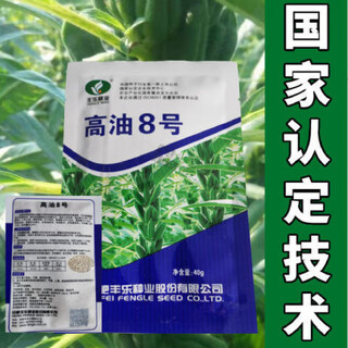 Семена черного кунжута, семена зерновых, семена черного кунжута, специальные семена кунжута для экстракции масла, семена белого кунжута с высоким содержанием масла № 8, оригинальные 40 г, признанные на национальном уровне.