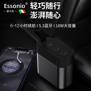 essonio意大利品牌5.3蓝牙音箱小巧便携式重低音炮IPX7防水可运动户外可家用插卡迷你型户外小音响 黑色【迷你便携+IPX7防水】