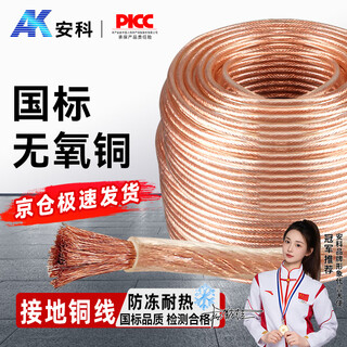 Anke national standard high voltage grounding wire soft copper wire 4 square meters 1 meter transparent copper core soft wire