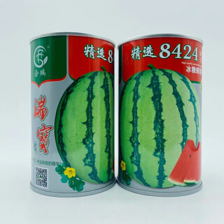 Thin-skinned rock sugar watermelon seeds xinjiang tianshan zaojia 8424 watermelon seeds early maturing large fruit super sweet qi selected 8424 original 50g