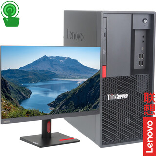 联想（Lenovo）ThinkServer TS90X 小型4U塔式服务器主机 至强E-2324G+23.8英寸显示器 64G内存丨512G+2×4T企业级丨RAID1