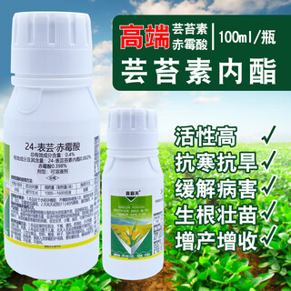 Plant growth regulator 0.4% gibberellic acid 24-epibrassinolide corn wheat rice growth regulator 100ml*5 bottles