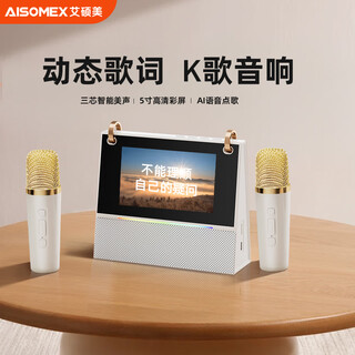 Aishomei b163k song microphone audio all-in-one singing artifact with microphone family ktv home laka ok children's male and female birthday gift lyrics display white double wheat
