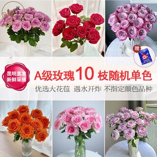 Yue duocai ab grade high-quality perfume lily, various living flowers for home office, kunming base, freshly picked for straight hair, 10 single-headed roses (random color)