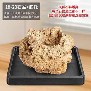 Absorbent stone flower pot, natural strange stone, absorbent stone, water-absorbing stone, raw stone stone pot, calamus succulent potted plant, bonsai micro-scape, 18-23cm stone pot + tempered rectangular holder + grass seeds