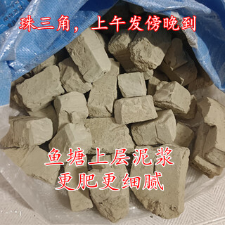 Guangdong province pond mud fish pond mud is breathable and nutritious soil for growing vegetables, lotus orchids, special floating soil flower mud. only sent to guangdong 20jin jin equal to 0.5kg high quality square pond mud