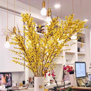 雪柳鲜支遇水开花干枝腊梅水插花干支花水培鲜花迎春花 寸寸金80厘米10支