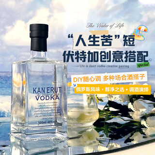 派斯顿（PASSTON）俄罗斯伏特加40度500ml单瓶洋酒烈酒调酒基酒鸡尾酒百搭小方瓶