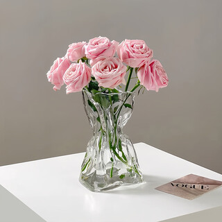 Fan ye's high-end glass vase transparent water-raised flowers living room dried flowers irregular ins style decorative flower arrangement ornaments