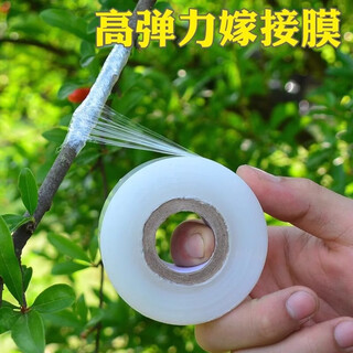 Guanyue special film for grafting film paper, no need to disassemble, fruit tree wrapping film, self-adhesive grafting, transparent stretch film, insulation film, plastic film, short cling film, about 200 meters long, 5cm wide (1 roll)
