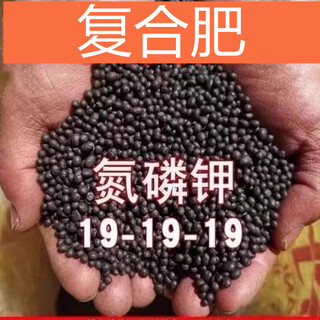Compound fertilizer nitrogen, phosphorus and potassium compound fertilizer chemical fertilizer flower fertilizer plant fertilizer vegetable fertilizer package green plant fertilizer compound fertilizer 50jin jin is equal to 0.5 kg