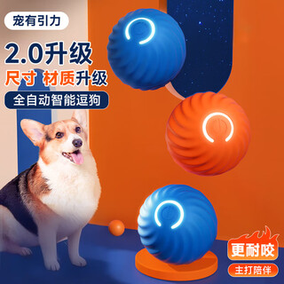 Pet gravity fully automatic dog toy ball electric intelligent bite-resistant self-happiness and boredom relief pet dog walking ball physical exhaustion artifact