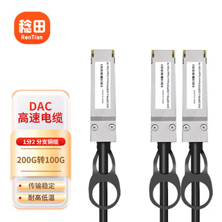 Rentian qsfp-200g to 100g-dac 10 gigabit 1 minute 2 high-speed copper cable stack direct-connect fiber optic cable compatible with cisco neutral 1 meter rt-200g1-1