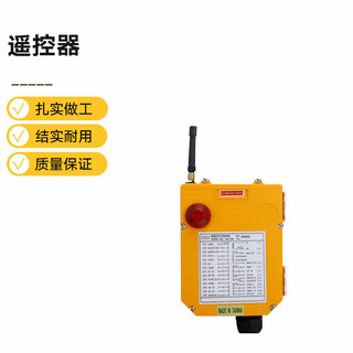 Beware of jingxuan remote control f24-10d-yuding 1 piece